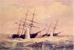 Подрыв кораблей англо-французской эскадры у Кронштадта 20 (8) июня 1855 г.